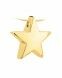Ash pendant 14k. yellow gold 'Star'