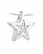 Ash pendant 925 silver 'Star' (zirconia stones)