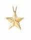 Golden ashes pendant 'Star'