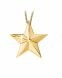 Golden ash pendant 'Star'