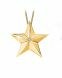 Ash jewel Golden Star with briljants 0.05 crt