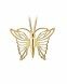 Ash jewel Golden 'Butterfly'