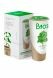 Bios Tree Urn for cremation ashes