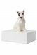 Pet urn 'Bull terrier'