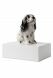 Pet urn 'Cocker'