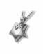 Pet cremation ashes pendant Silver (925) 'Star' with pawprint