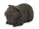 Guinea pig urn