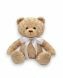 Huggable Teddy bear urn