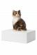 Pet urn 'Persian cat'