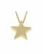 Symbol necklace 'Star' 14ct yellow gold