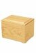 Yellow pine cremation ashes urn casket