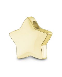Ash jewel pendant 14 krt. yellow golden star