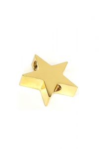 Gold plated ashes pendant 'Star'