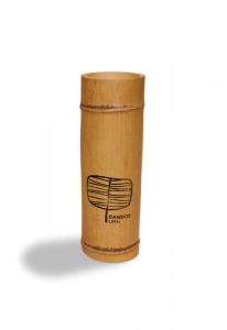 Bamboo cremation ashes mini urn XL