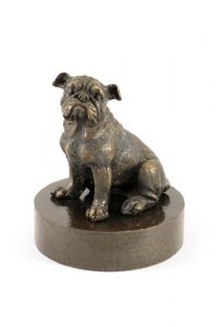 Bulldog urn bronzed