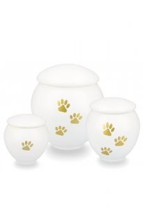 White pet urn with gold coloured paws