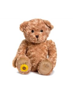 Huggable Teddy bear urn