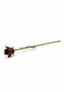 Red Rose Keepsake Urn for Cremation Ashes