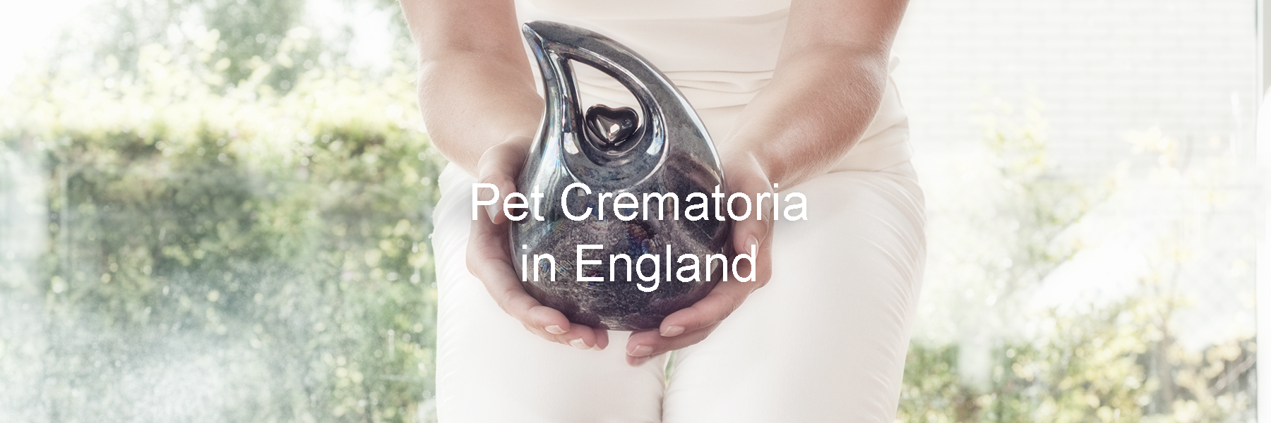 Are you looking for a Pet Crematorium Nearby? 